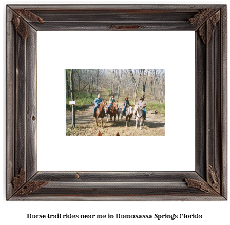 horse trail rides near me in Homosassa Springs, Florida